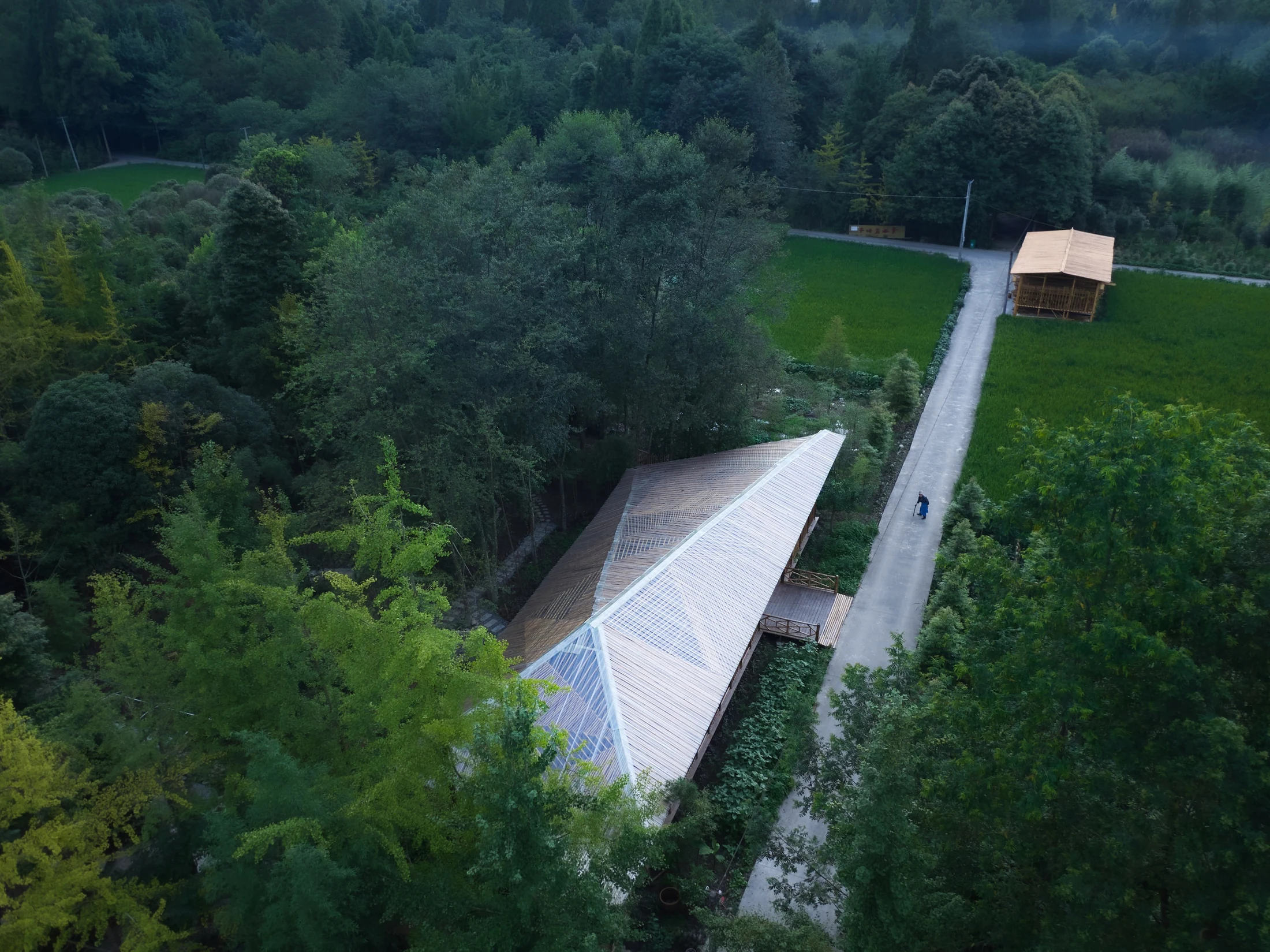Aerial view of Ma’s Bamboo Workshop among trees, paths and farmland