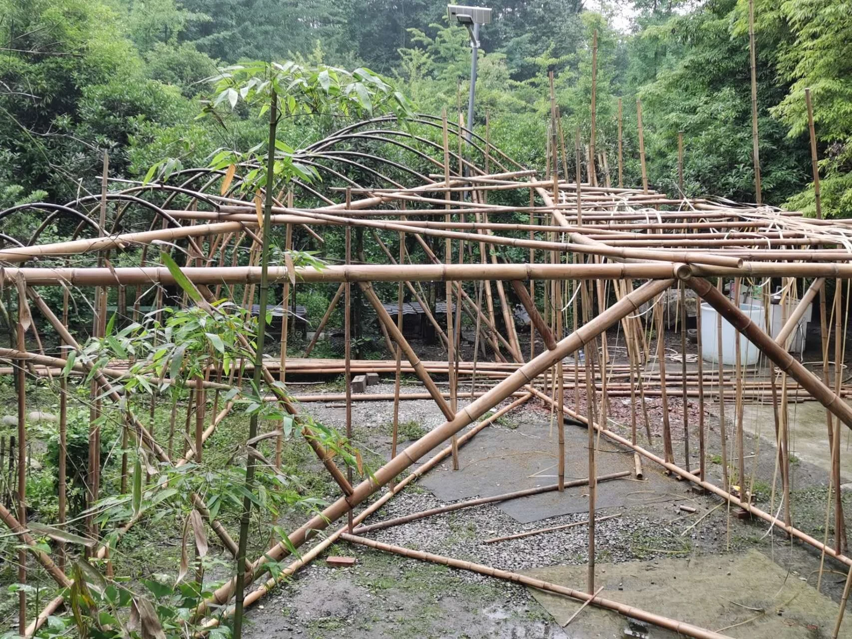 The full-scale Wuxing bamboo prototype with curved bamboo components
