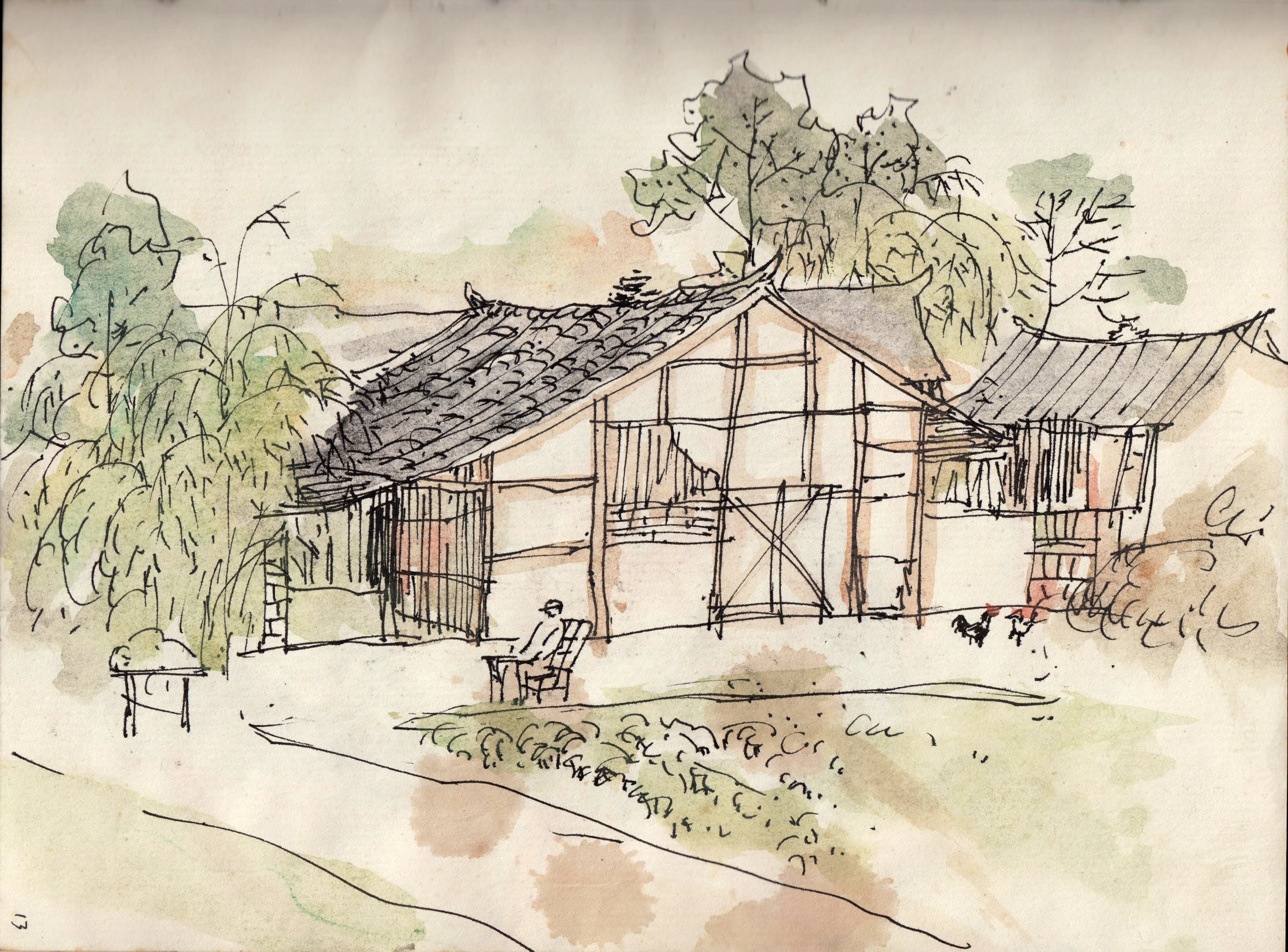 Drawing of a seated person outside a tiled-roof house, with bamboo, trees, chickens and cultivated ground